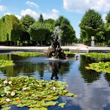 Park, fountain, Nenufary