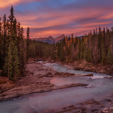 Kicking Horse River, Sunrise, Yoho National Park, forest, Province of British Columbia, Canada, viewes, Mountains, trees