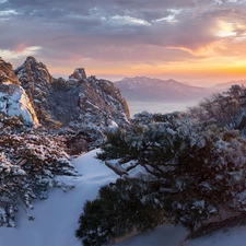 Fog, VEGETATION, Sunrise, rocks, Bukhansan National Park, clouds, viewes, winter, South Korea, trees, Mountain Dobongsan, Mountains