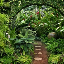 Path, Garden, green