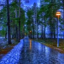 Pavement, Lamps, trees, viewes, Park