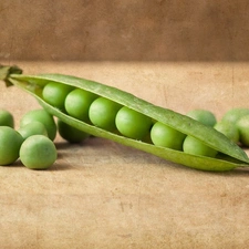 pea, pod, green