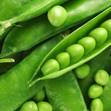 pea, pods, green