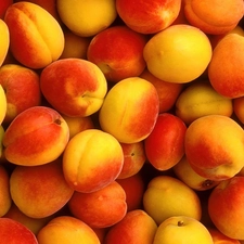 Delicious, peaches