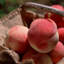 peaches, basket, robust