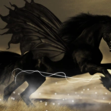 Black, Pegasus