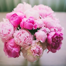 bouquet, Pink, Peonies, Flowers