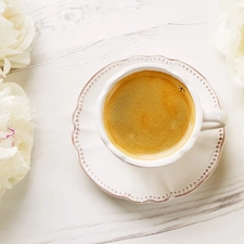 plate, coffee, White, Peonies, Flowers, cup