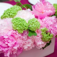 peony, bouquet, pink