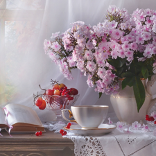 Grapes, bouquet, jug, tablecloth, cup, Flowers, phlox, composition, Red Currant, Book