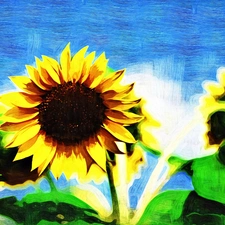 oil, Nice sunflowers, picture