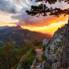 Mountains, Great Sunsets, pine, rocks, trees