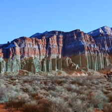 Plants, Red, canyon