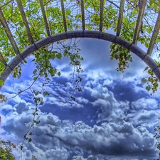 clouds, Plants