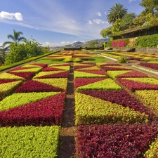 Gardens, Red, Plants, green