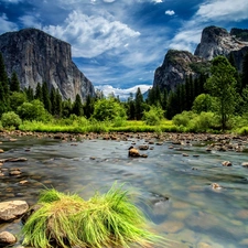 Mountains, Stones, Plants, River