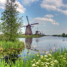 Plants, Windmills, River