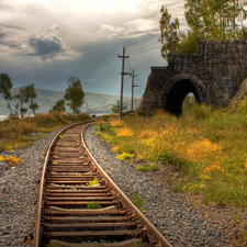 track, tunnel, Plants, railway