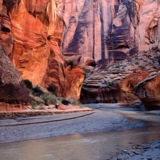 Plants, canyons, water