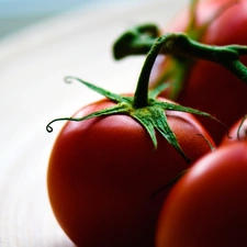 tomatoes, plate