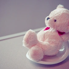 teddy bear, White, Plush