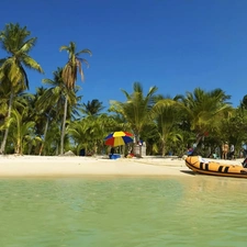 Beaches, Sand, point, Palms