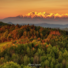 Sunrise, Poland, Mountains, Tatras, forest