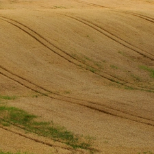 Poland, Field, traces