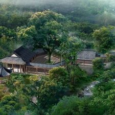 Houses, forest, Pond - car, China