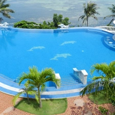 Palms, Hotel hall, Pool