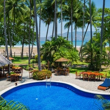 Palms, Hotel hall, Pool