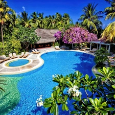 Palms, Hotel hall, Pool