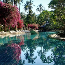 tropic, Hotel hall, Pool