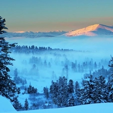 Fog, Przebijające, luminosity, ligh, flash, woods, Mountains, sun