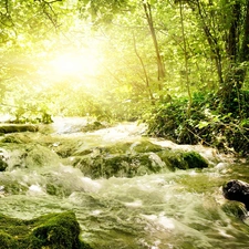 forest, Przebijaj?ce, luminosity, ligh, flash, Stones, River, sun