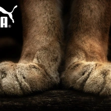 feet, Puma