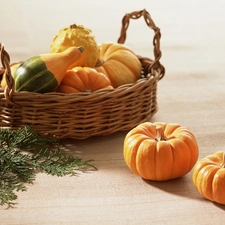 basket, pumpkin
