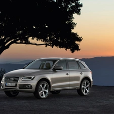 Audi Q5 SUV