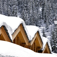 queue, rope-way, snowy, roofs, winter