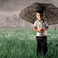 boy, Umbrella, Rain, Field