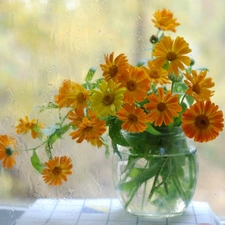 Orange, Glass, Rain, Margaret