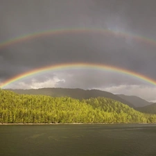 landscape, forest, rainbows, lake