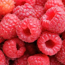 raspberries