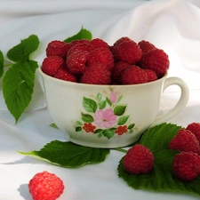 cup, raspberries