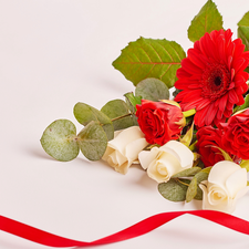 bunch, ribbon, Gerbera, Leaf, roses