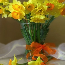 ribbon, bowl, narcissus