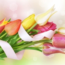 ribbon, bouquet, tulips