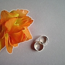 rings, Orange, rose