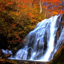 River, waterfall, autumn