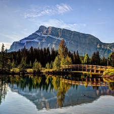 River, bridge, autumn, forest, Mountains